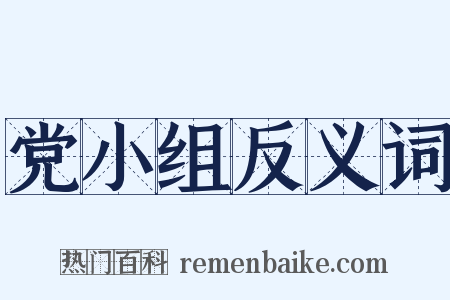 党小组反义词是什么意思的图片
